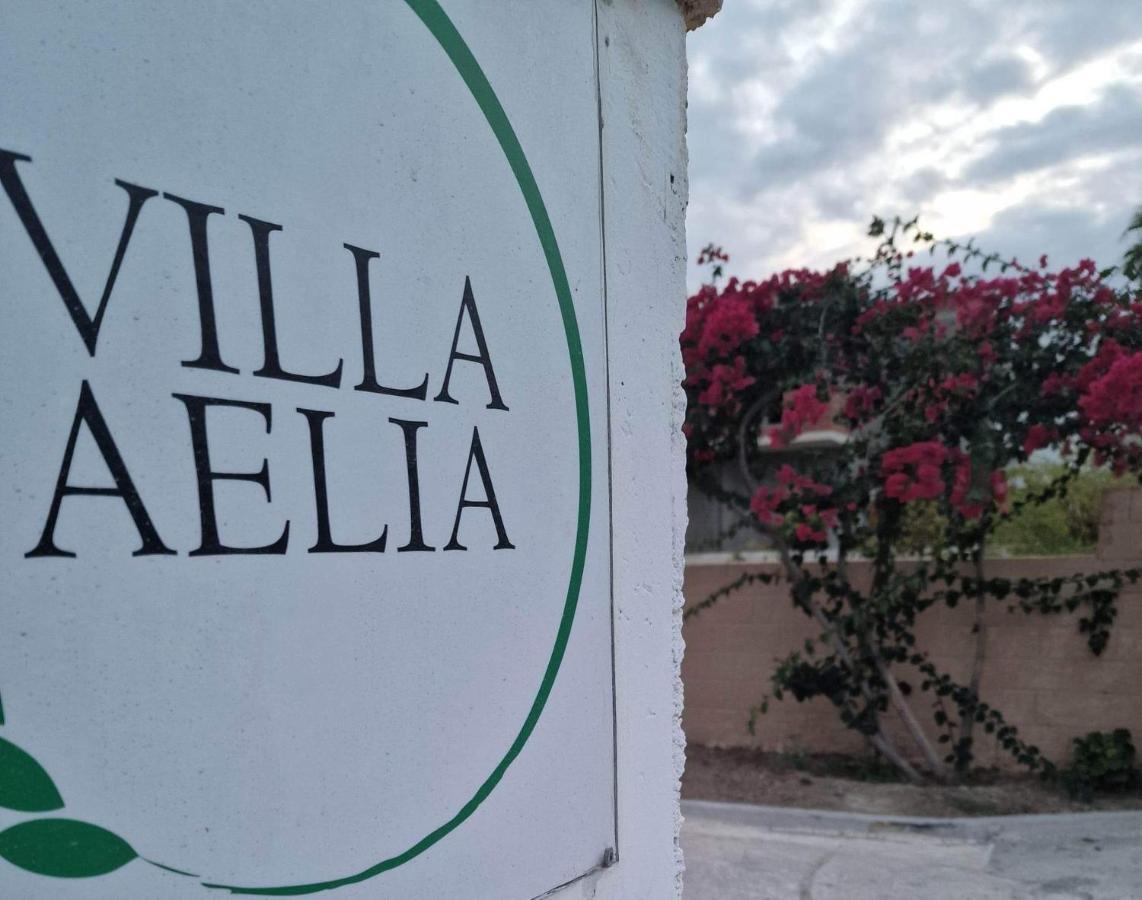 Aelia House Kefalos - Cozy & Quiet Dış mekan fotoğraf